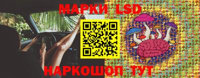 тгк Владимир